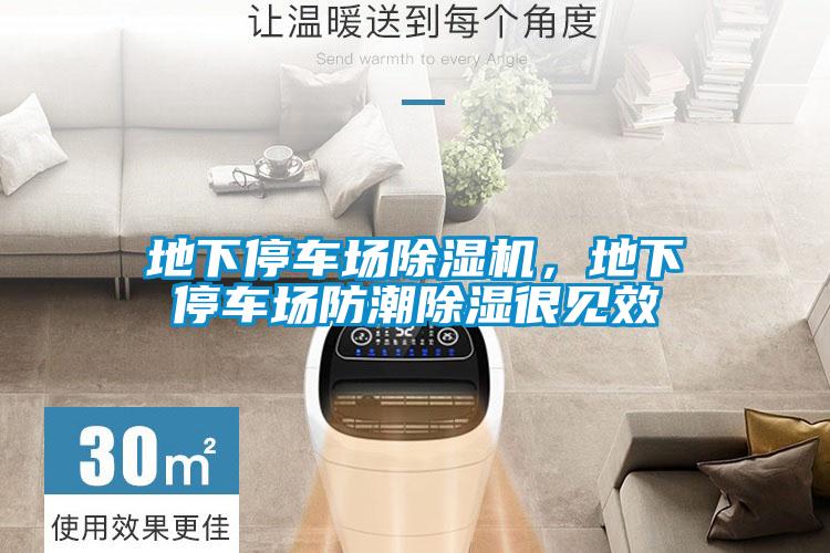 地下停车场粉色视频免费在线观看，地下停车场防潮除湿很见效