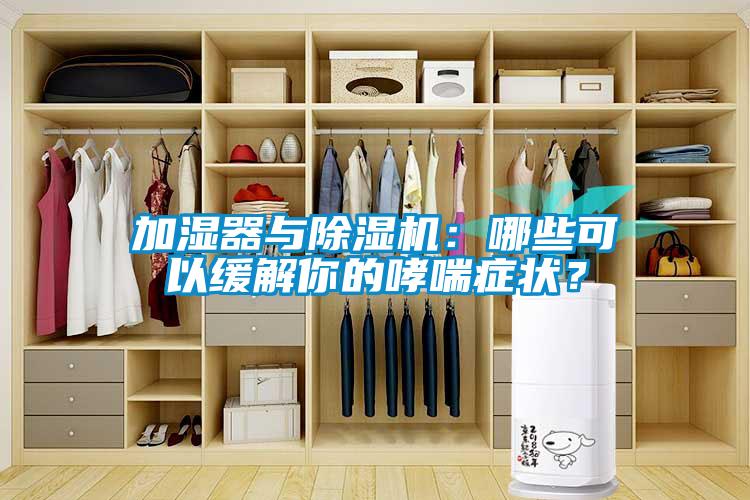 加湿器与粉色视频免费在线观看：哪些可以缓解你的哮喘症状？