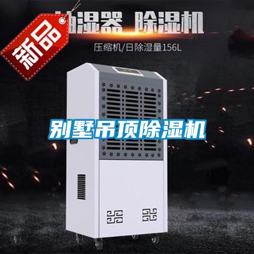 别墅吊顶粉色视频免费在线观看