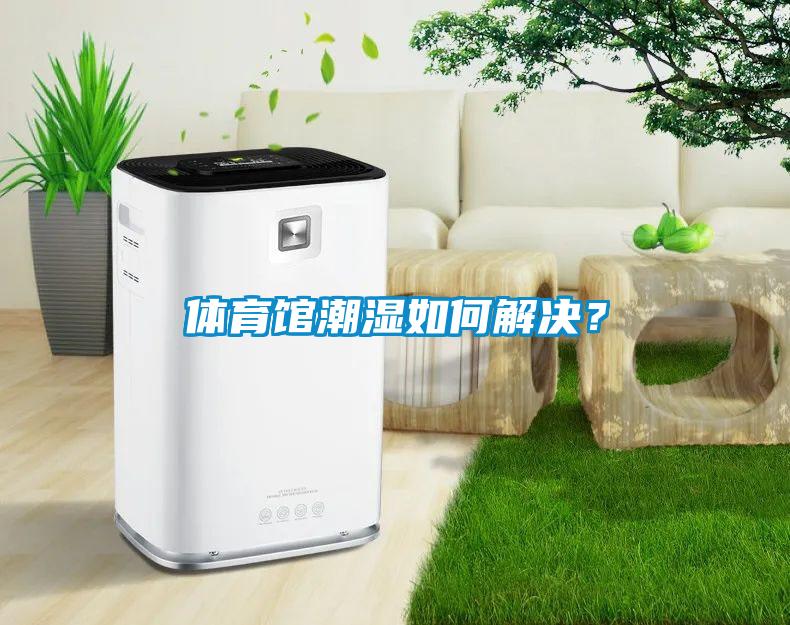 体育馆潮湿如何解决？