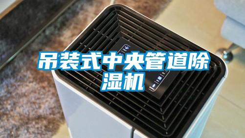 吊装式中央管道粉色视频免费在线观看