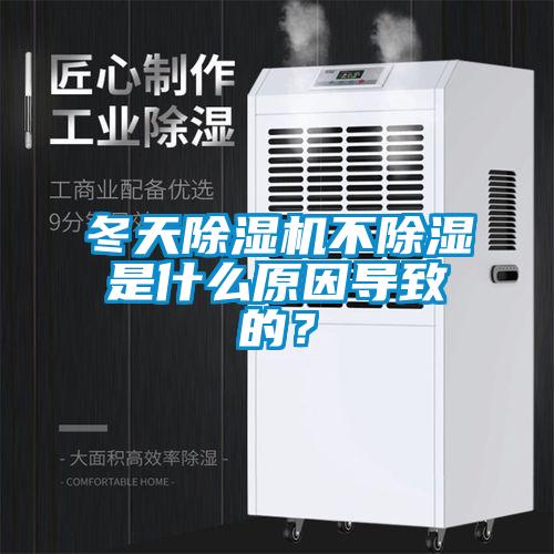 冬天粉色视频免费在线观看不除湿是什么原因导致的？