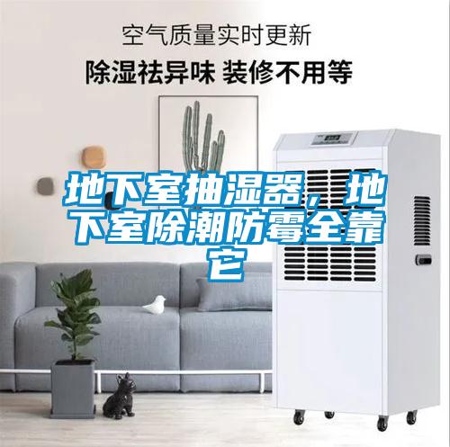 地下室抽湿器，地下室除潮防霉全靠它