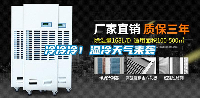 冷冷冷！湿冷天气来袭
