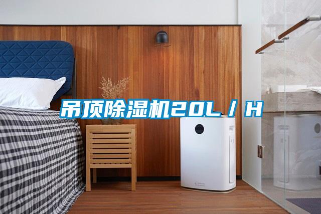 吊顶粉色视频免费在线观看20L／H