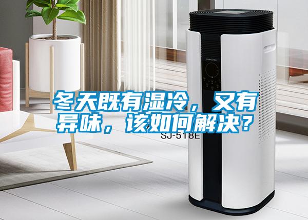 冬天既有湿冷，又有异味，该如何解决？