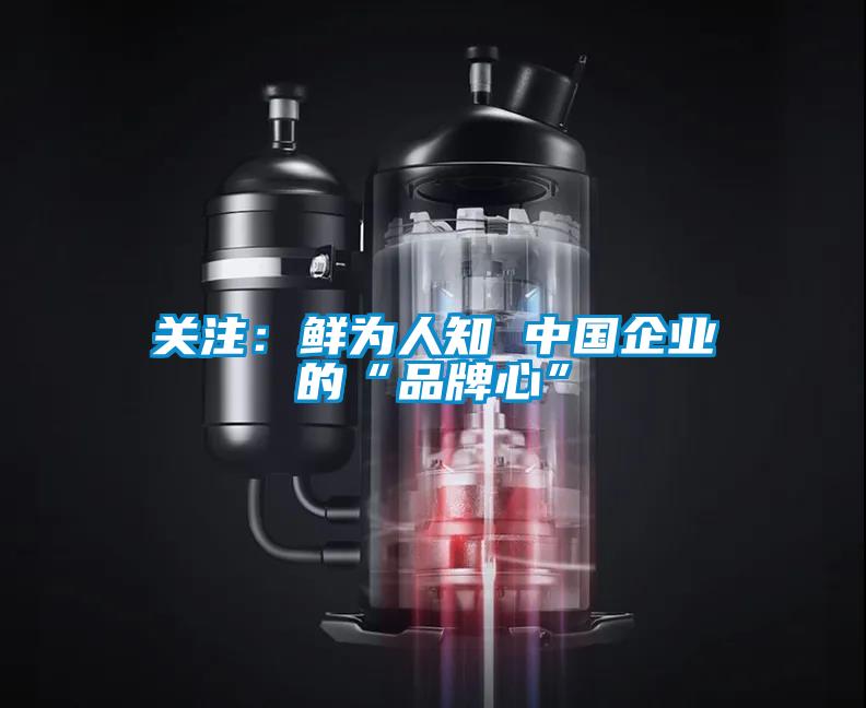 关注：鲜为人知 中国企业的“品牌心”