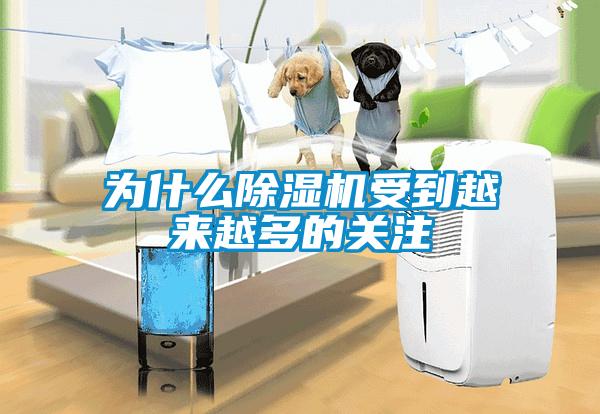 为什么粉色视频免费在线观看受到越来越多的关注
