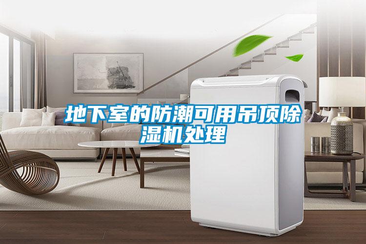 地下室的防潮可用吊顶粉色视频免费在线观看处理