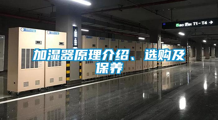 加湿器原理介绍、选购及保养