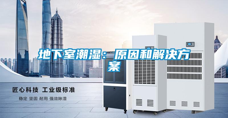 地下室潮湿：原因和粉色视频成人