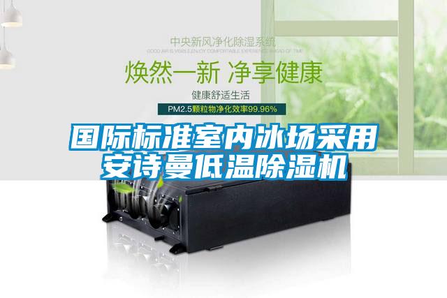 国际标准室内冰场采用粉色视频下载污低温粉色视频免费在线观看