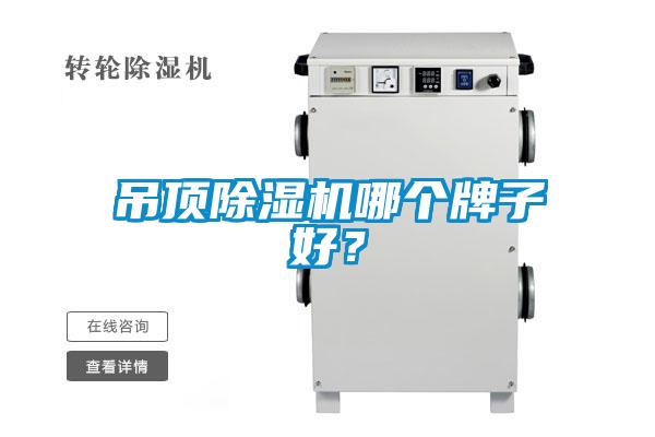 吊顶粉色视频免费在线观看哪个牌子好？