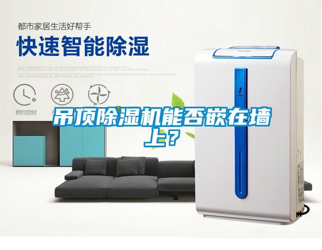 吊顶粉色视频免费在线观看能否嵌在墙上？