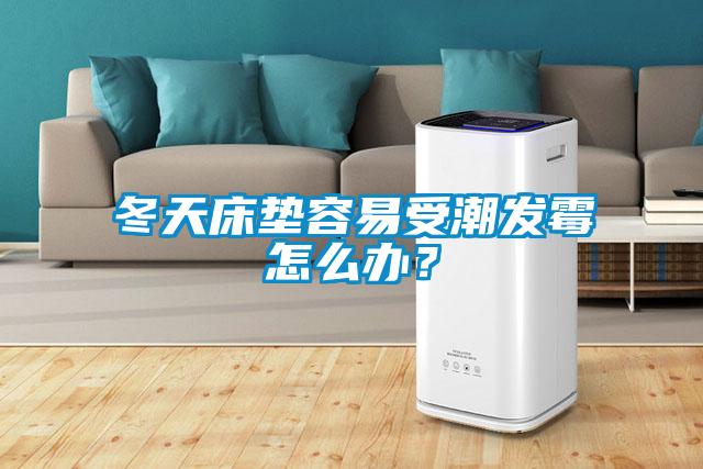冬天床垫容易受潮发霉怎么办？