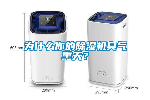 为什么你的粉色视频免费在线观看臭气熏天？