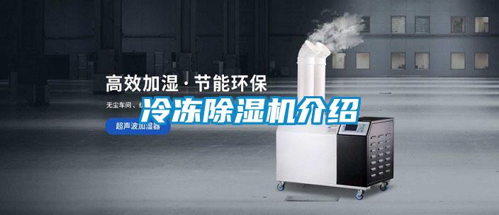 冷冻粉色视频免费在线观看介绍