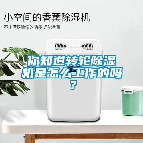 你知道转轮粉色视频免费在线观看是怎么工作的吗？