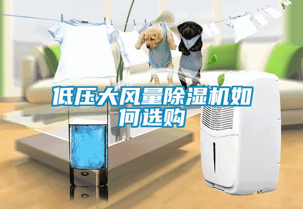 低压大风量粉色视频免费在线观看如何选购