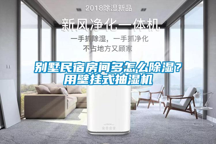 别墅民宿房间多怎么除湿？用壁挂式抽湿机