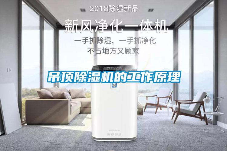 吊顶粉色视频免费在线观看的工作原理
