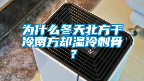 为什么冬天北方干冷南方却湿冷刺骨？
