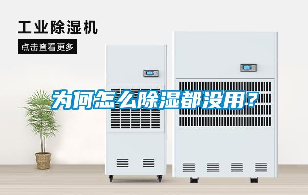 为何怎么除湿都没用？