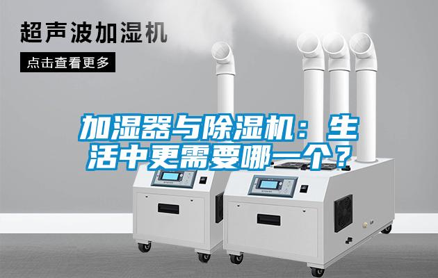 加湿器与粉色视频免费在线观看：生活中更需要哪一个？