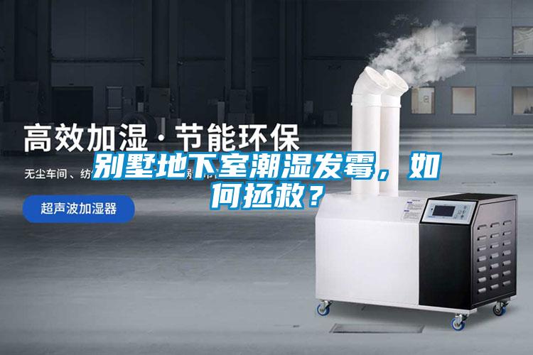 别墅地下室潮湿发霉，如何拯救？