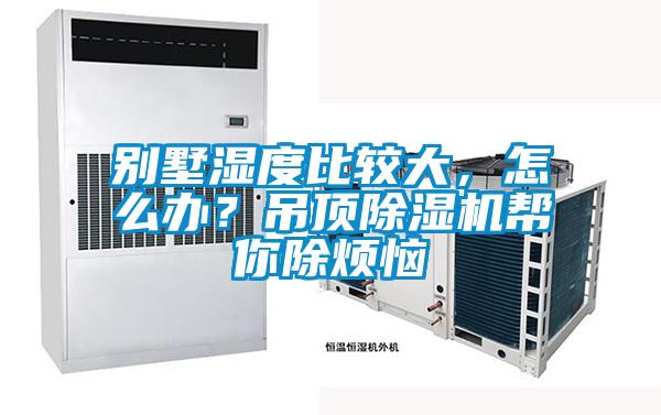 别墅湿度比较大，怎么办？吊顶粉色视频免费在线观看帮你除烦恼