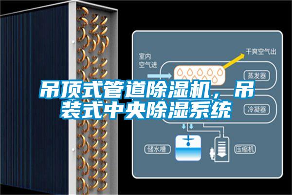 吊顶式管道粉色视频免费在线观看，吊装式中央除湿系统