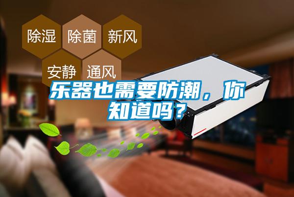乐器也需要防潮，你知道吗？