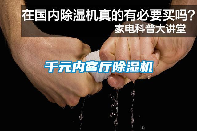 千元内客厅粉色视频免费在线观看