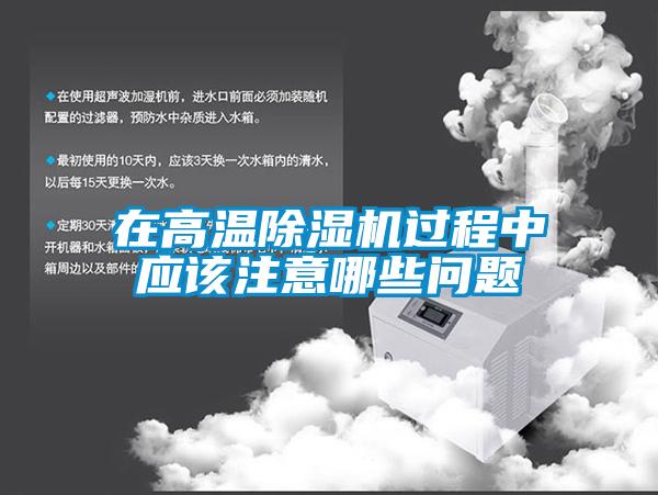 在高温粉色视频免费在线观看过程中应该注意哪些问题