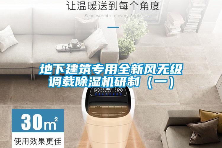 地下建筑专用全新风无级调载粉色视频免费在线观看研制（一）