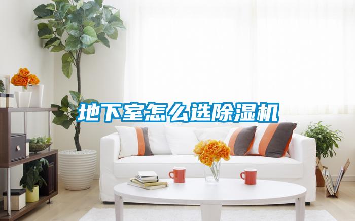 地下室怎么选粉色视频免费在线观看