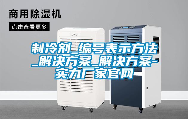 制冷剂_编号表示方法_粉色视频成人_粉色视频成人-实力厂家官网