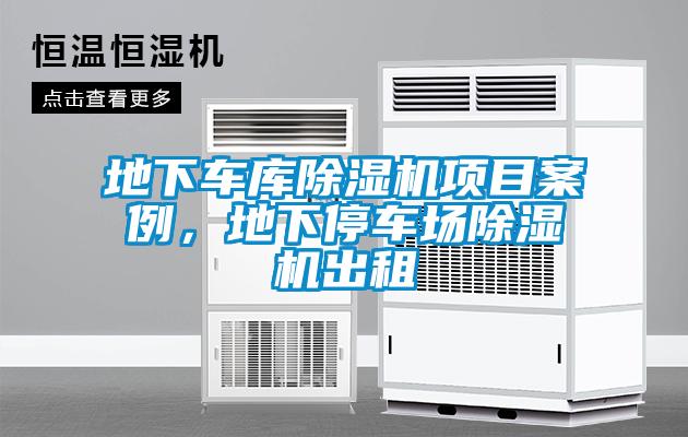 地下车库粉色视频免费在线观看项目案例，地下停车场粉色视频免费在线观看出租