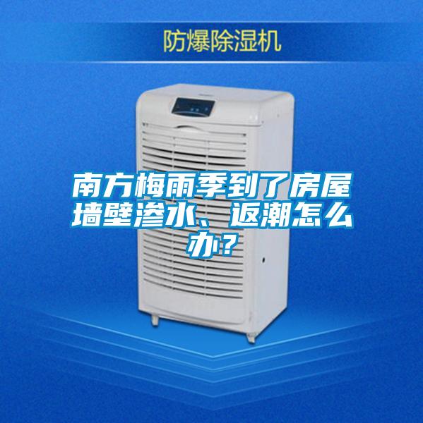 南方梅雨季到了房屋墙壁渗水、返潮怎么办？