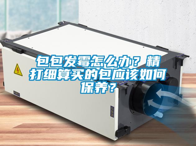 包包发霉怎么办？精打细算买的包应该如何保养？