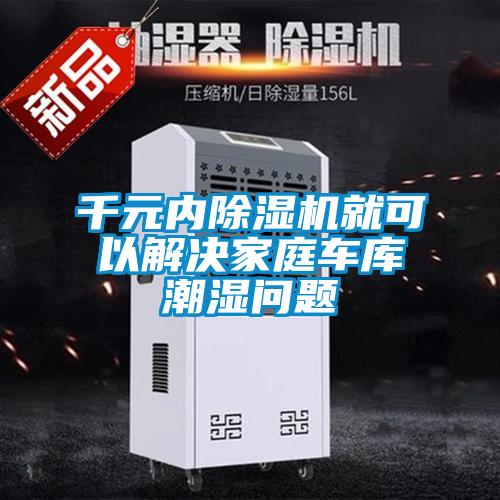千元内粉色视频免费在线观看就可以解决家庭车库潮湿问题