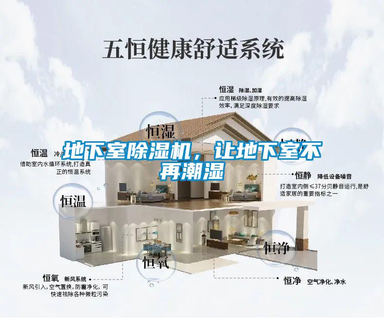 地下室粉色视频免费在线观看，让地下室不再潮湿