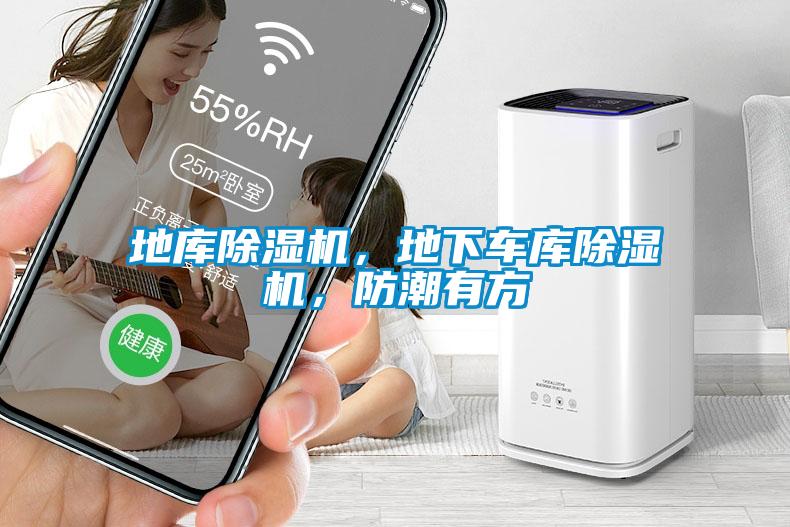 地库粉色视频免费在线观看，地下车库粉色视频免费在线观看，防潮有方