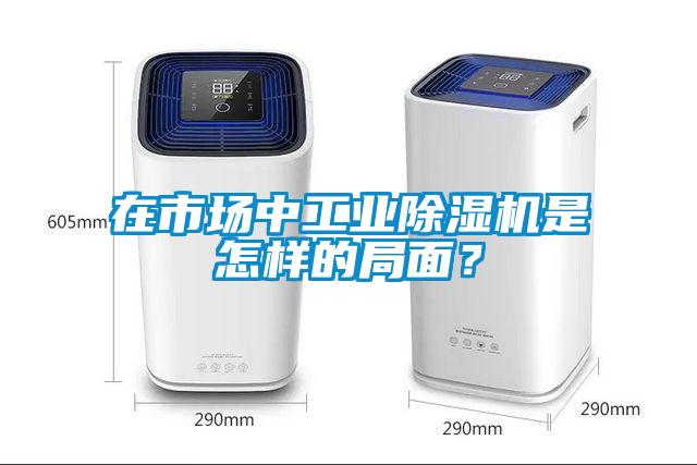 在市场中工业粉色视频免费在线观看是怎样的局面？