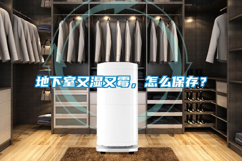 地下室又湿又霉，怎么保存？