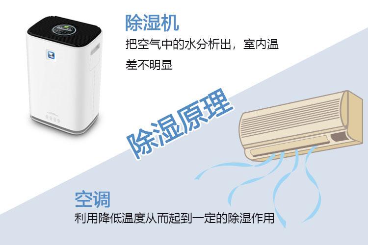 大棚粉色视频免费在线观看