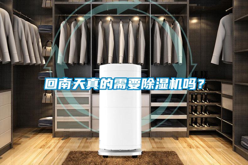 回南天真的需要粉色视频免费在线观看吗？