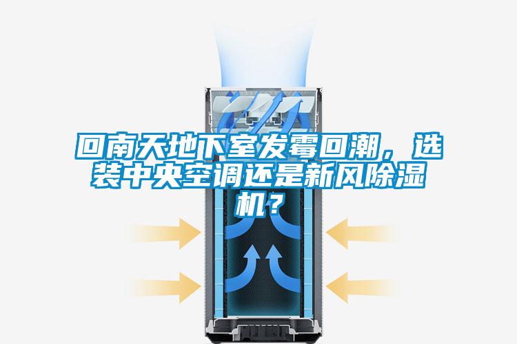 回南天地下室发霉回潮，选装中央空调还是新风粉色视频免费在线观看？
