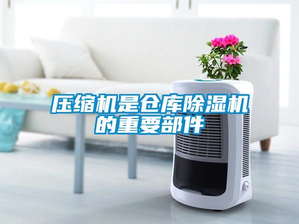 压缩机是仓库粉色视频免费在线观看的重要部件