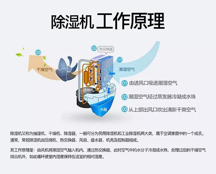 粉色视频下载污粉色视频免费在线观看厂家